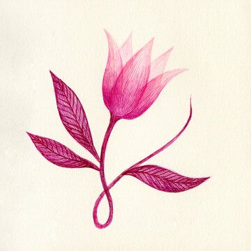 Pink wonderful flower art