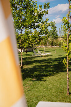 Sun Loungers Resting in Green Garden Between Trees