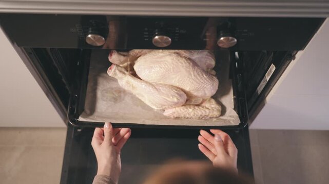 Top-down view of woman placing whole raw turkey on baking sheet into modern oven, preparing traditional roasted turkey for Thanksgiving family dinner.