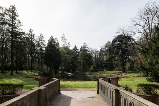 bridge in park