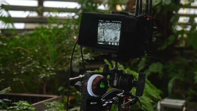 A professional video camera setup in a lush greenhouse setting. Concept of media production, technology, and nature integration, ideal for creative and commercial projects.