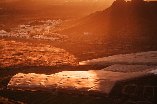 Aerial view of large agricultural greenhouses illuminated by warm golden hour light, nestled in the volcanic landscape near the town of Costa Adeje, Canary Islands, Spain.