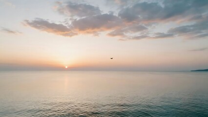 Fototapeta premium Serene Sunrise Over Calm Ocean with Cloudy Sky and Single Bird