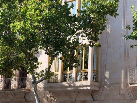 Classic Enclosed Wooden Balcony Framed by Green Tree Leaves