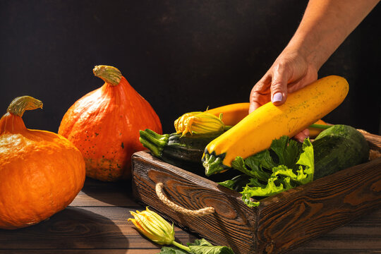Hand placing organic yellow zucchini in rustic crate