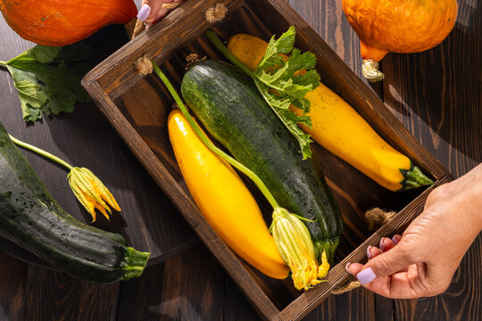Woman holding wooden crate with fresh zucchini and squash