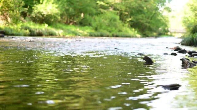 Tranquil stream flowing woodland 4k 60 fps video, authentic late fall landscape, low to the ground view, B roll bokeh background video