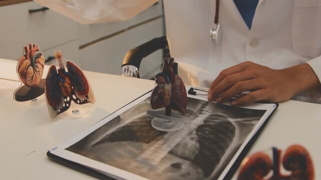 Doctor holding and pointing to an anatomical model of human lungs in a clinical office setting