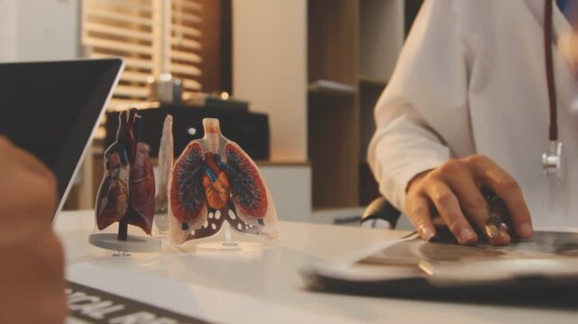 Doctor holding and pointing to an anatomical model of human lungs in a clinical office setting