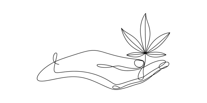 Continuous line drawing of hand holding cannabis leaf