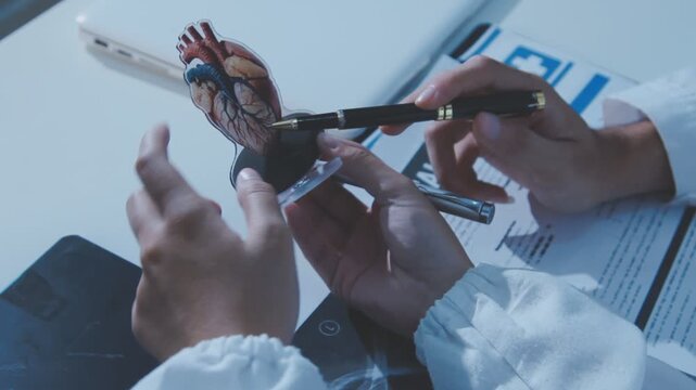 Doctor holding and pointing to an anatomical model of human lungs in a clinical office setting