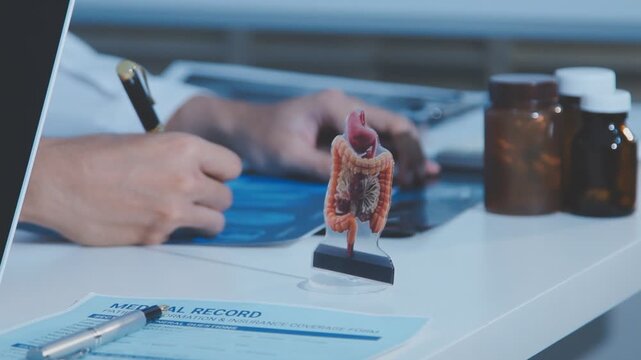 Doctor holding and pointing to an anatomical model of human lungs in a clinical office setting