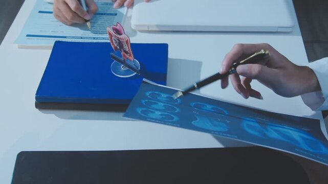 Doctor holding and pointing to an anatomical model of human lungs in a clinical office setting