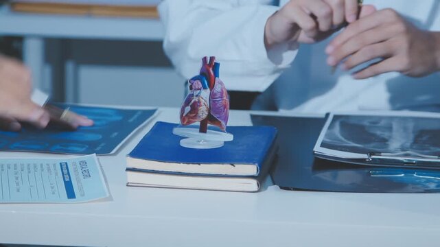 Doctor holding and pointing to an anatomical model of human lungs in a clinical office setting