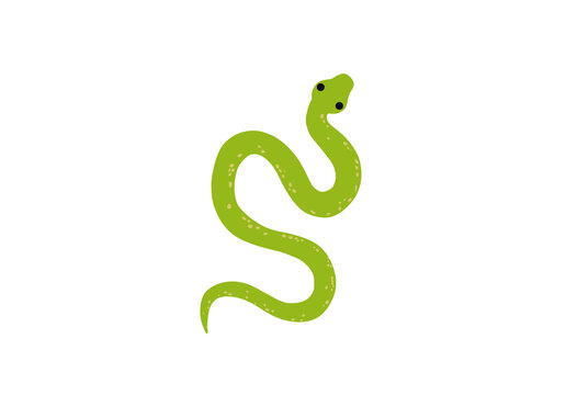 Animal illustration - snake 