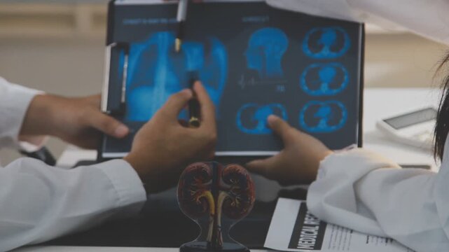 Doctor holding and pointing to an anatomical model of human lungs in a clinical office setting