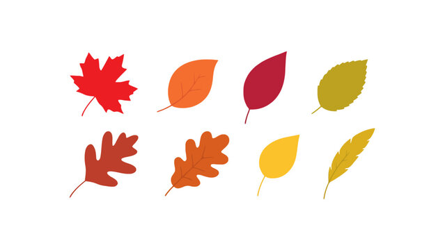 A collection of autumn leaves is depicted in a flat vector illustration against a black background fall foliage