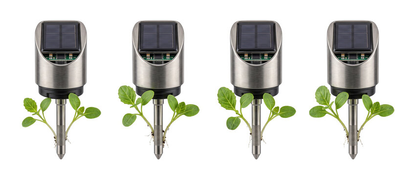 Solar powered soil sensor probes monitoring green plant seedlings in a row for smart agriculture, agritech innovation, environmental technology, automated farming, and sustainable growth concept.