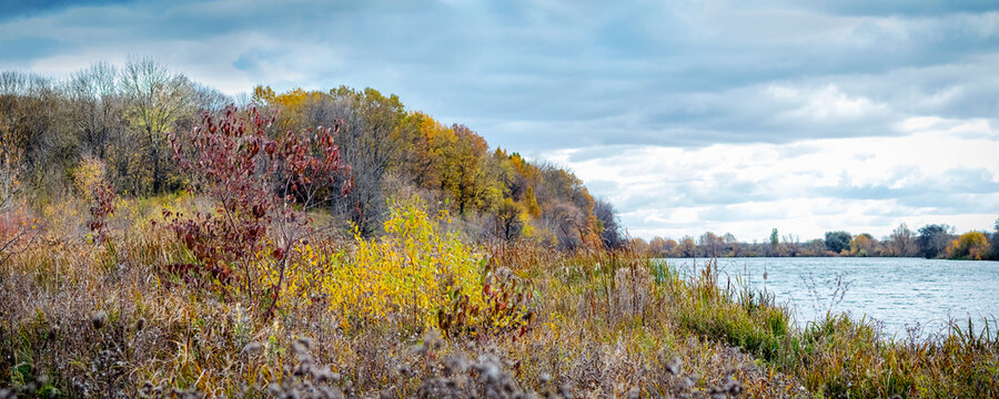 Autumn shrubs and trees on lake shore under cloudy sky
