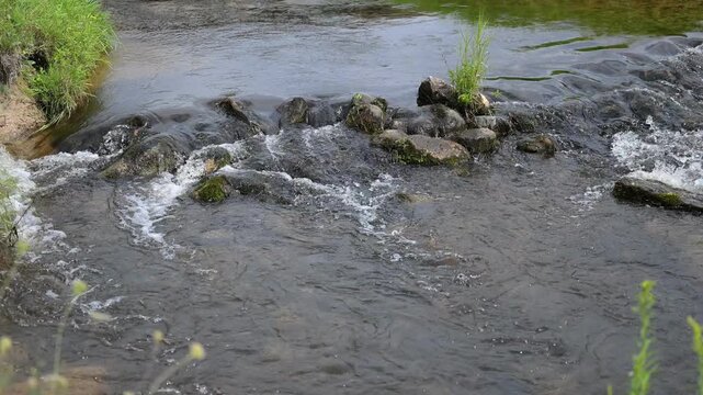 Babbling Brook in Summer