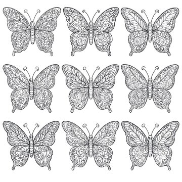 Intricate Zentangle Butterfly Designs Collection for Coloring and Art