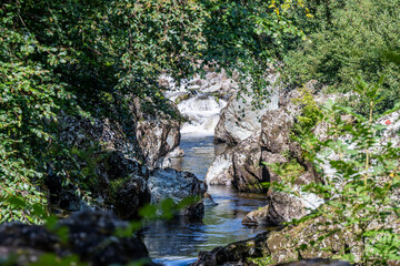 river in the forest © mgnikon