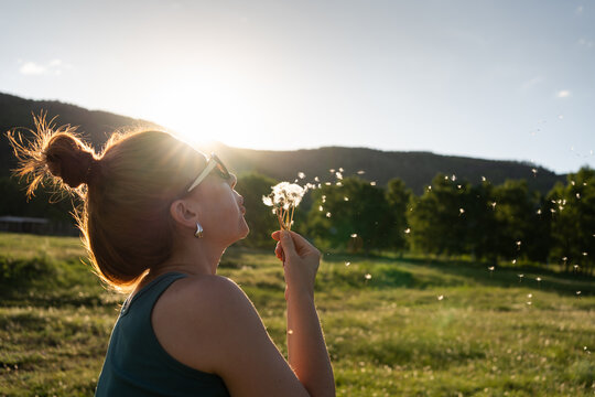 Woman blows on the white fluffy dandelions in the mountains at sunset. Green mountains and the blue sky in the background.