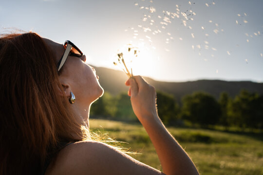 Woman blows on the white fluffy dandelions in the mountains at sunset. Green mountains and the blue sky in the background.