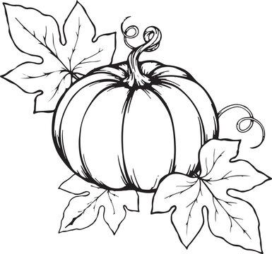 Black and white hand drawn pumpkin with leaves outline illustration