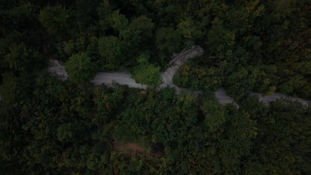 Drone Aerial View Flying Nadir (Top-Down) Over Forest Canopy and Winding Dirt Path Revealing Sunlight Below Prenj Mountain