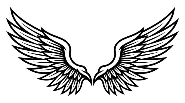 Symmetrical eagle wings vector illustration isolated on white background