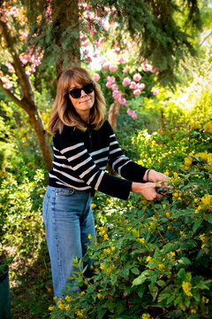 Mid-aged woman pruning the bushes in the backyard with pruning shears