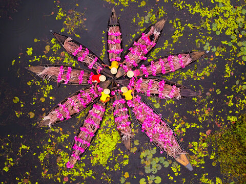 Aerial view of waterlily pickers in wooden boats arranged in a star pattern on a wetland in Barishal, Bangladesh.