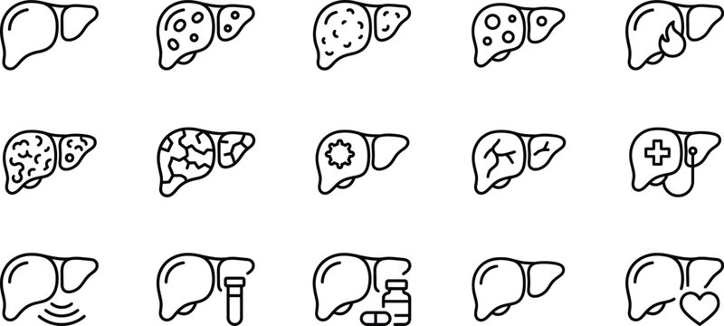 Liver Disease Medical Outline Icons for Apps, Websites, Healthcare, Diagnosis, Treatment and Patient Education
