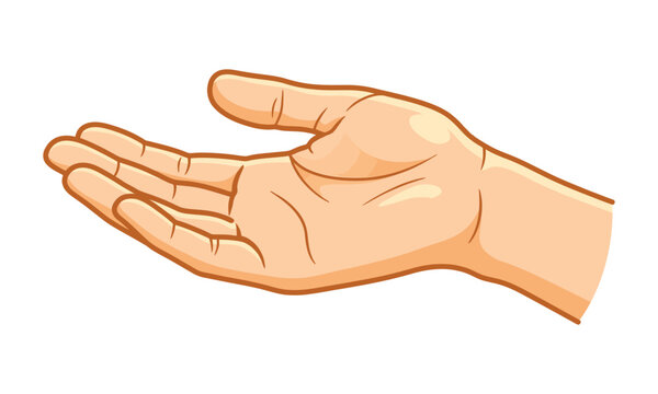 Open human hand palm up gesture