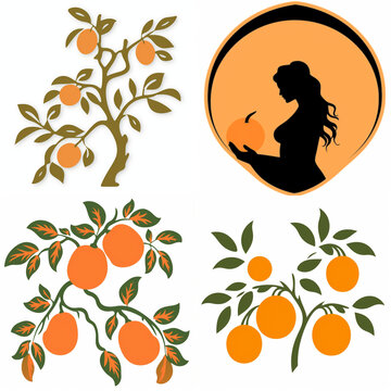 Set of apricot tree illustrations and woman silhouette with fruit icon design elements