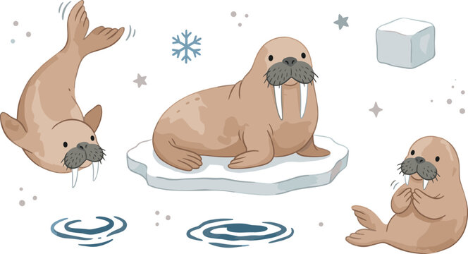 Adorable polar walrus vector illustration collection with iceberg ice cube snowflake water ripples and stars design assets for children winter patterns