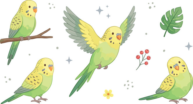 Adorable pet budgerigar parrot vector illustration collection with monstera leaf red berries flower and stars design assets for bird lovers nursery patterns