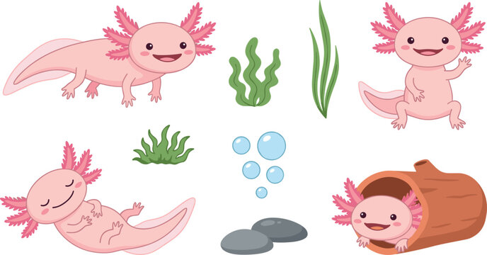 Set of adorable pink axolotl vector bundle with seaweed bubbles wooden log and stones in flat style for underwater sea life designs