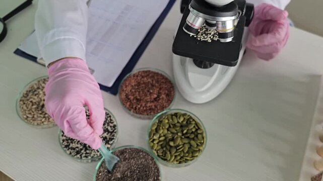 Microscope, seeds, and notes during a research activity in a laboratory