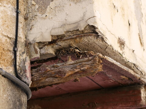 Close-up architectural detail of dangerous concrete spalling and decaying timber. Concept of building neglect, structural failure, and maintenance issues.