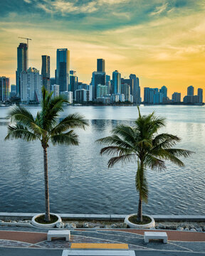 Miami Skyline with Palm Trees and Waterfront at Golden Hour