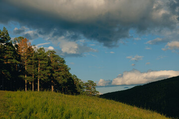 Naklejka premium Hill slope with pine trees under cloudy sky in late afternoon, Chita Transbaikalia nature of Russia
