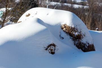 Naklejka premium Snow blankets a mound of dry grass