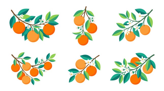 Clean modern vector clipart sheet with six olive branch compositions in a 3x2 grid, botanical elements isolated for versatile design use