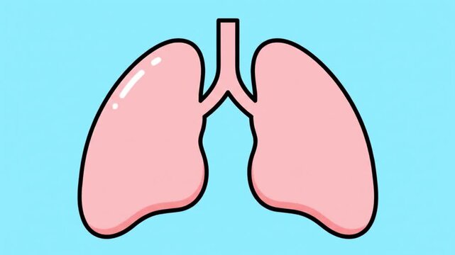 Illustration of human lungs on a blue background.