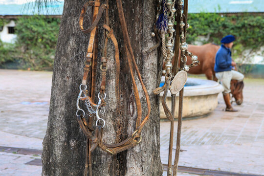 Freno y cabezal de cuero gaucho colgados en un &aacute;rbol con jinete y caballo al fondo