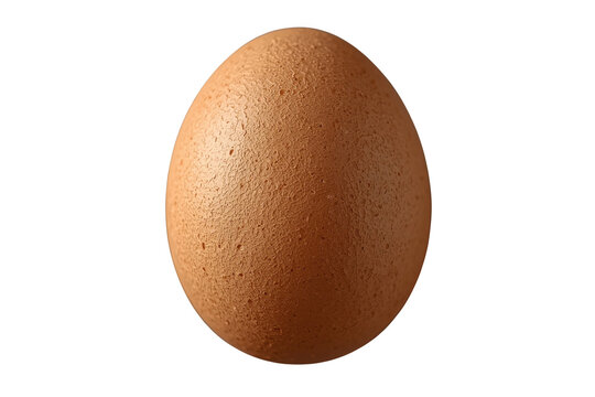 Speckled brown whole egg with textured shell