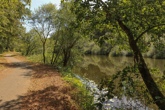 Sommer im Lahntal; Lahntalradweg bei Weilburg