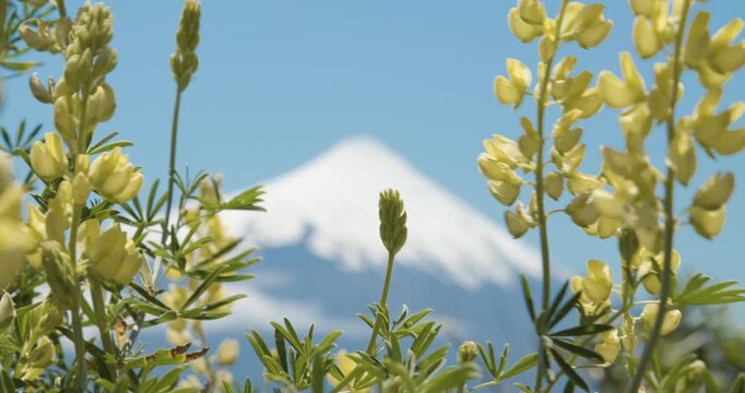 Volcan Osorno, Puerto varas, Chile 4K